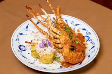 142_img_midle_albom_2025081414362619ed91a217c7.webp