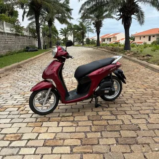 194_img_midle_portr_202602031838310630a7841ec5.webp
